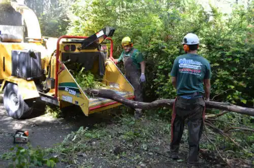 tree services Dubuque